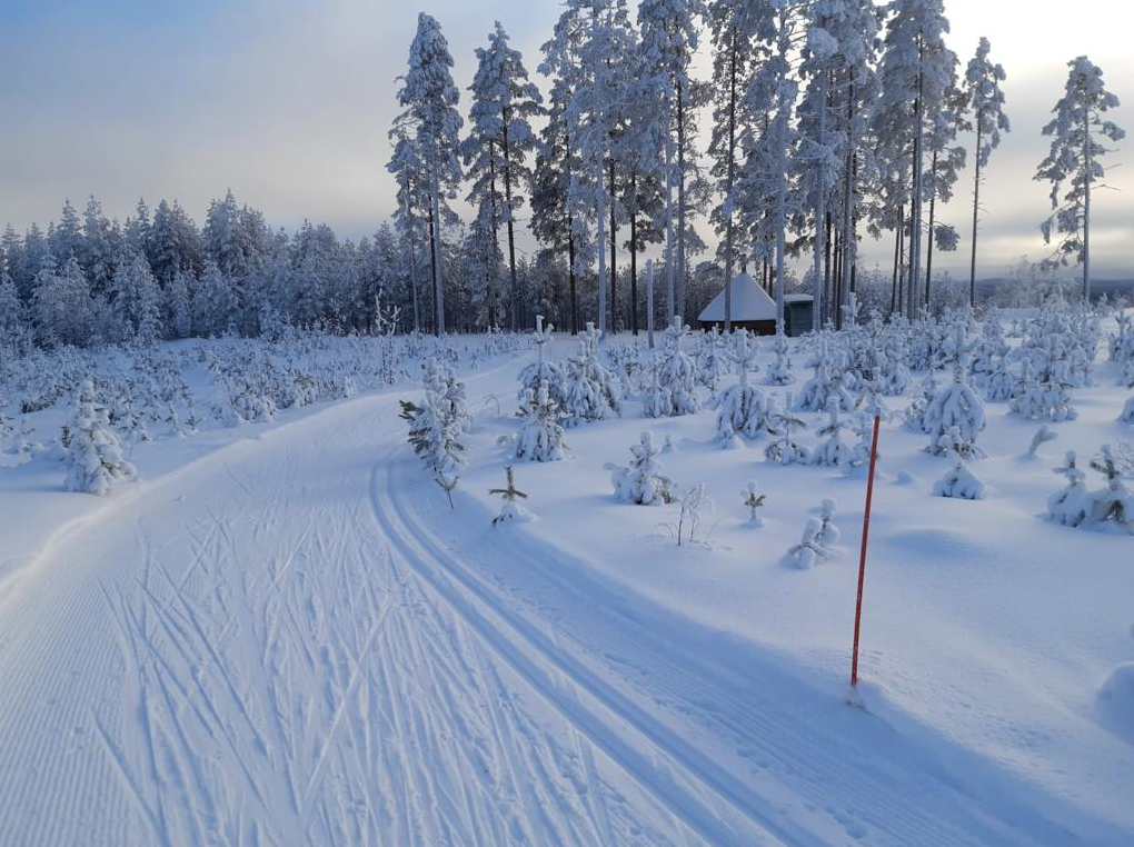 Read more about the article Valkealammen ensilumenlatu ja hiihtoladut